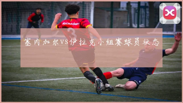 塞内加尔vs伊拉克小组赛球员状态