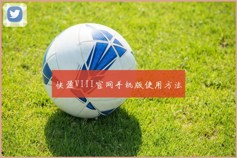 快盈VIII官网手机版使用方法