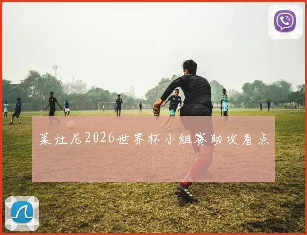 莱杜尼2026世界杯小组赛助攻看点