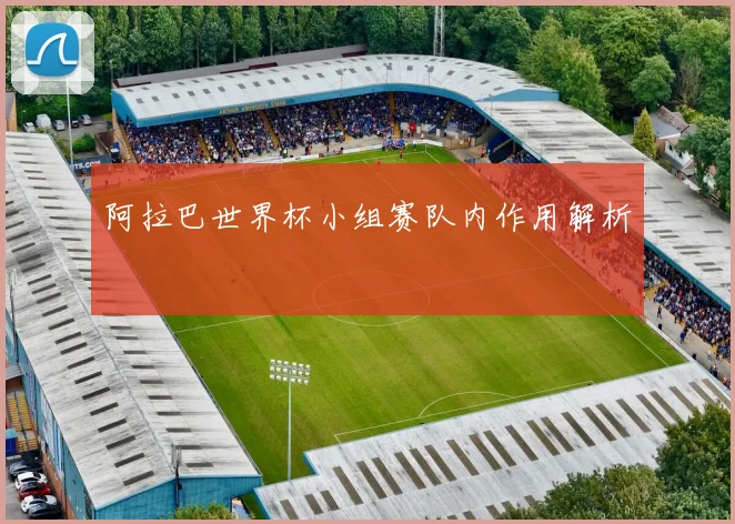 阿拉巴世界杯小组赛队内作用解析