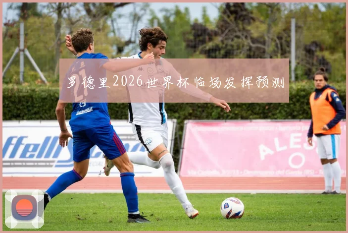 罗德里2026世界杯临场发挥预测